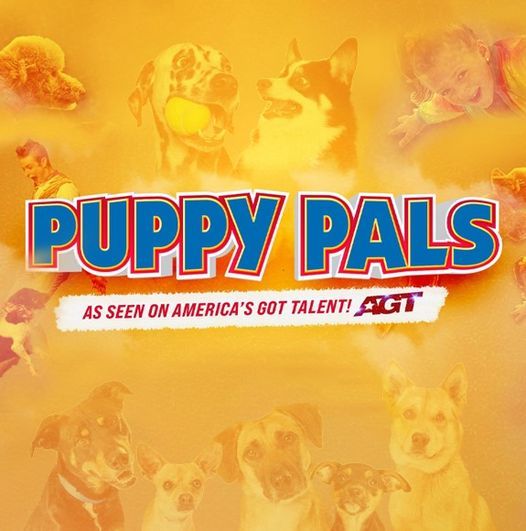 K70pzbvru89tvm 2022 Dog Events Near Me