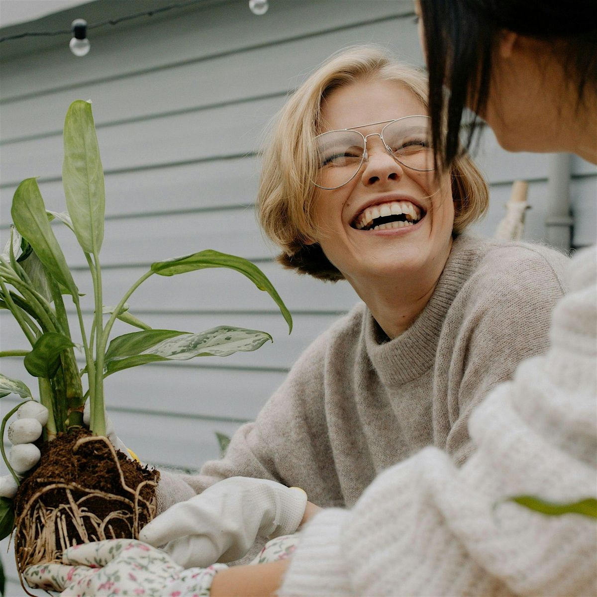 Plant Bingo, Sargent's on 2nd, Rochester | AllEvents