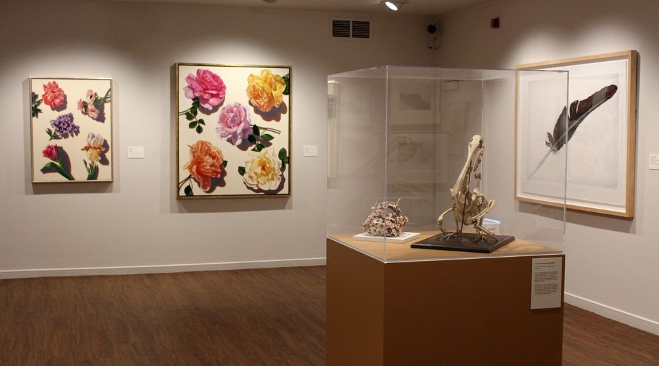 Flora Fauna Exhibition Tour With Helaine Glick Monterey Museum Of Art flora-fauna-exhibition-tour-with-helaine-glick-monterey-museum-of-art