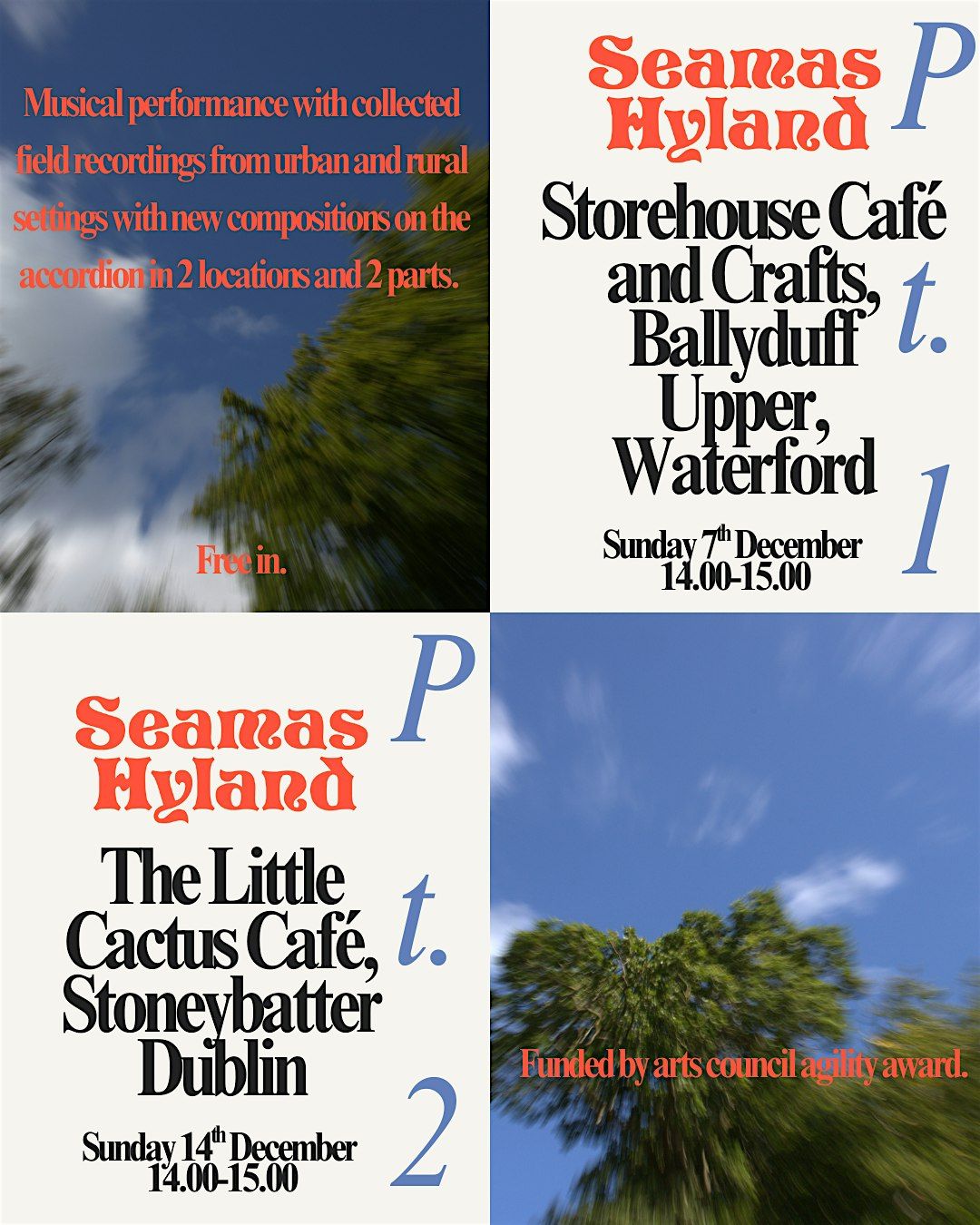 Seamas Hyland - The Little Cactus, Dublin, 14 December | Event in Dublin | AllEvents