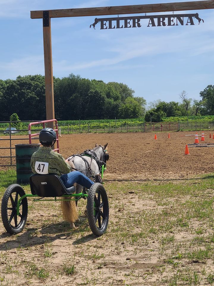 6th Annual "Take It Easy Driving Horse Show", Montcalm County