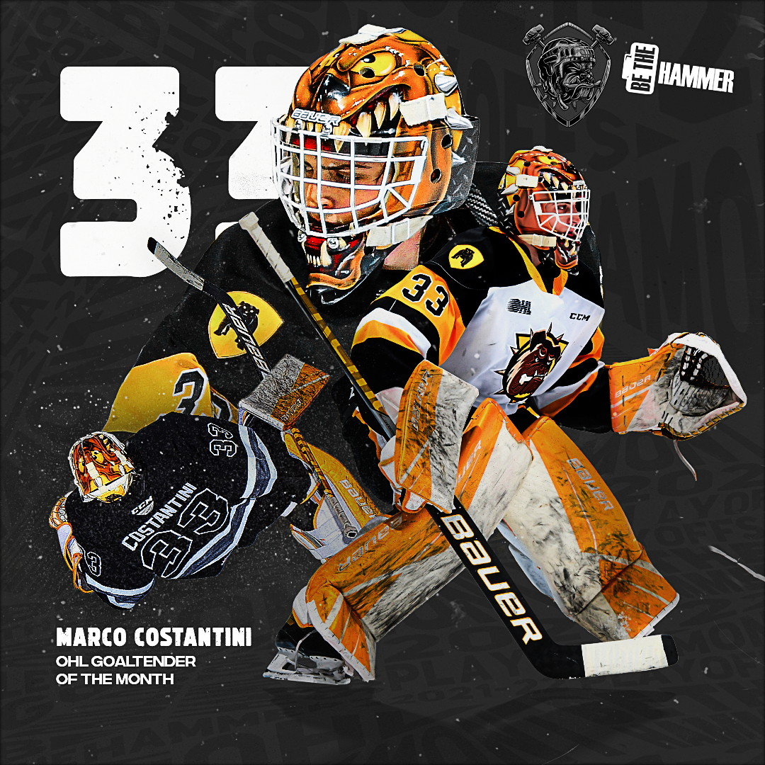 Sarnia Sting at Brantford Bulldogs at Brantford and District Civic Centre, 21 November | Event in Brantford