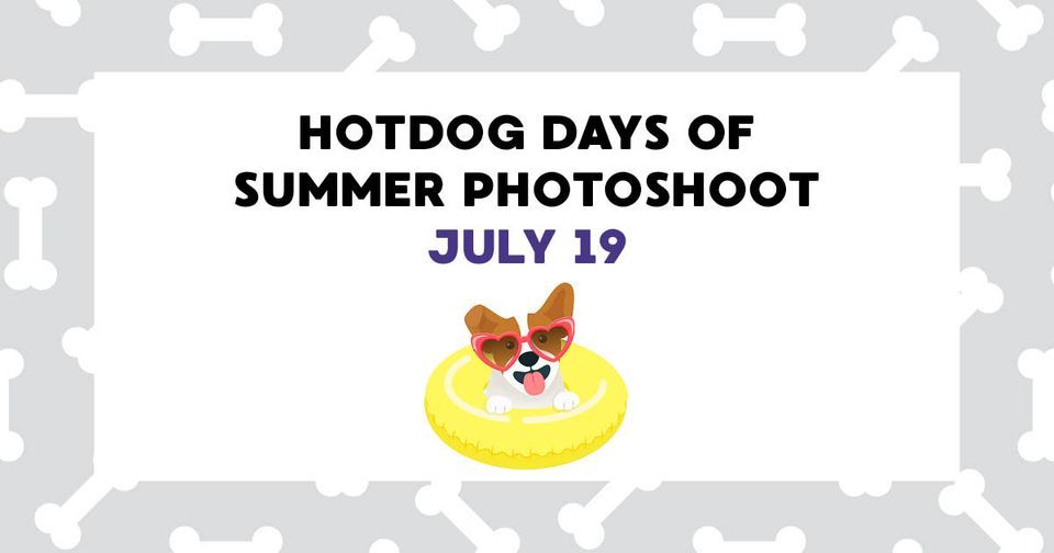 Hotdog Days Of Summer Photoshoot Woof s Play Stay Manhattan KS hotdog-days-of-summer-photoshoot-woof-s-play-stay-manhattan-ks