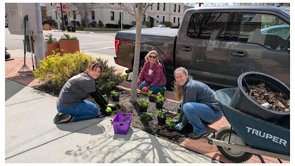 Winter Wildlife Series: Pollinators & Their Habitats