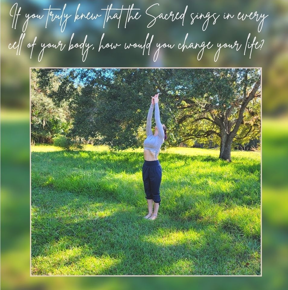 Beginning Yoga, 735 Commerce Center Dr, Suite C, Sebastian, FL 32958