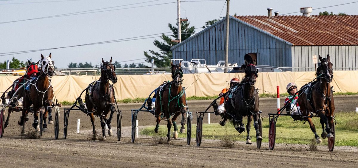 Harness Racing, 29 August | Event in Wauseon | AllEvents