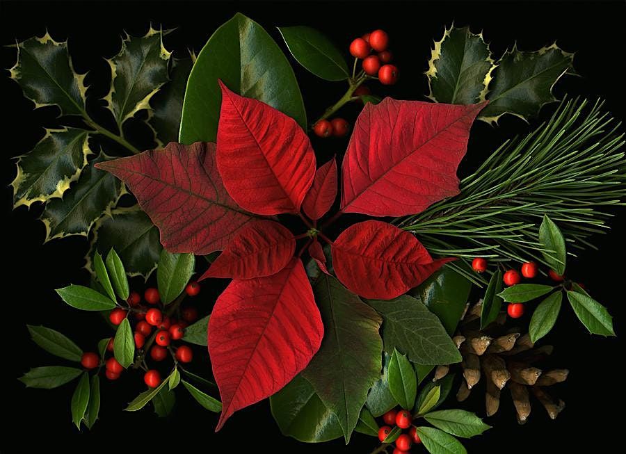 12/19/25 Singles Holiday Mixer Glow Up!, 19 December | Event in Marina Del Rey | AllEvents