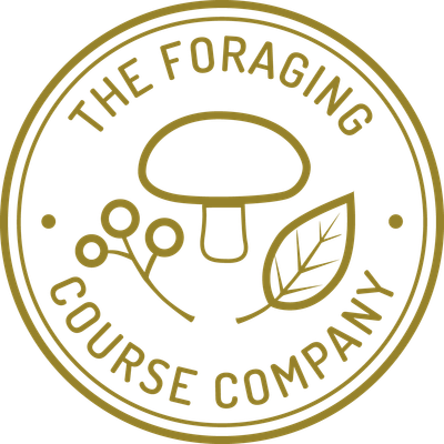 The Foraging Course Company logo