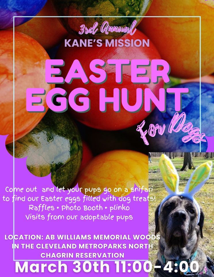 3rd Annual Easter Egg Hunt for Dogs, A B Williams Memorial Woods ...
