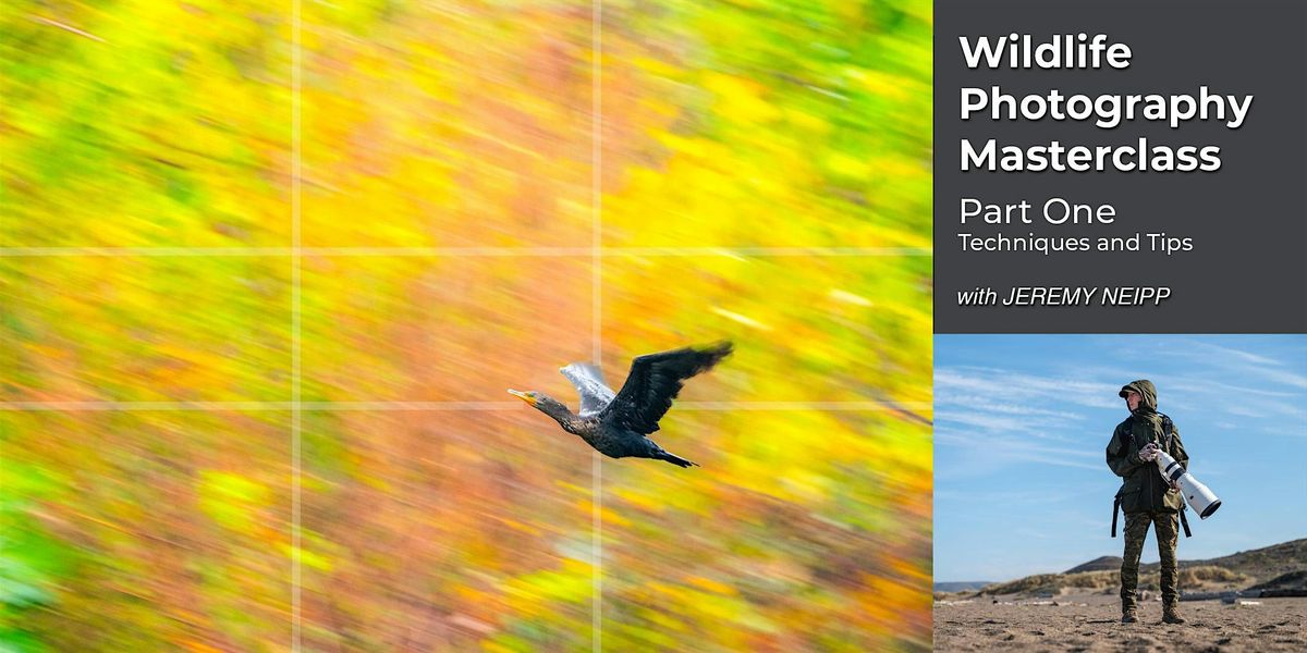 Wildlife Photography Masterclass - Part One - Techniques and Tips, 28 January | Event in Fresno | AllEvents