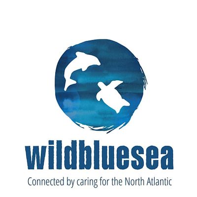Wildbluesea logo