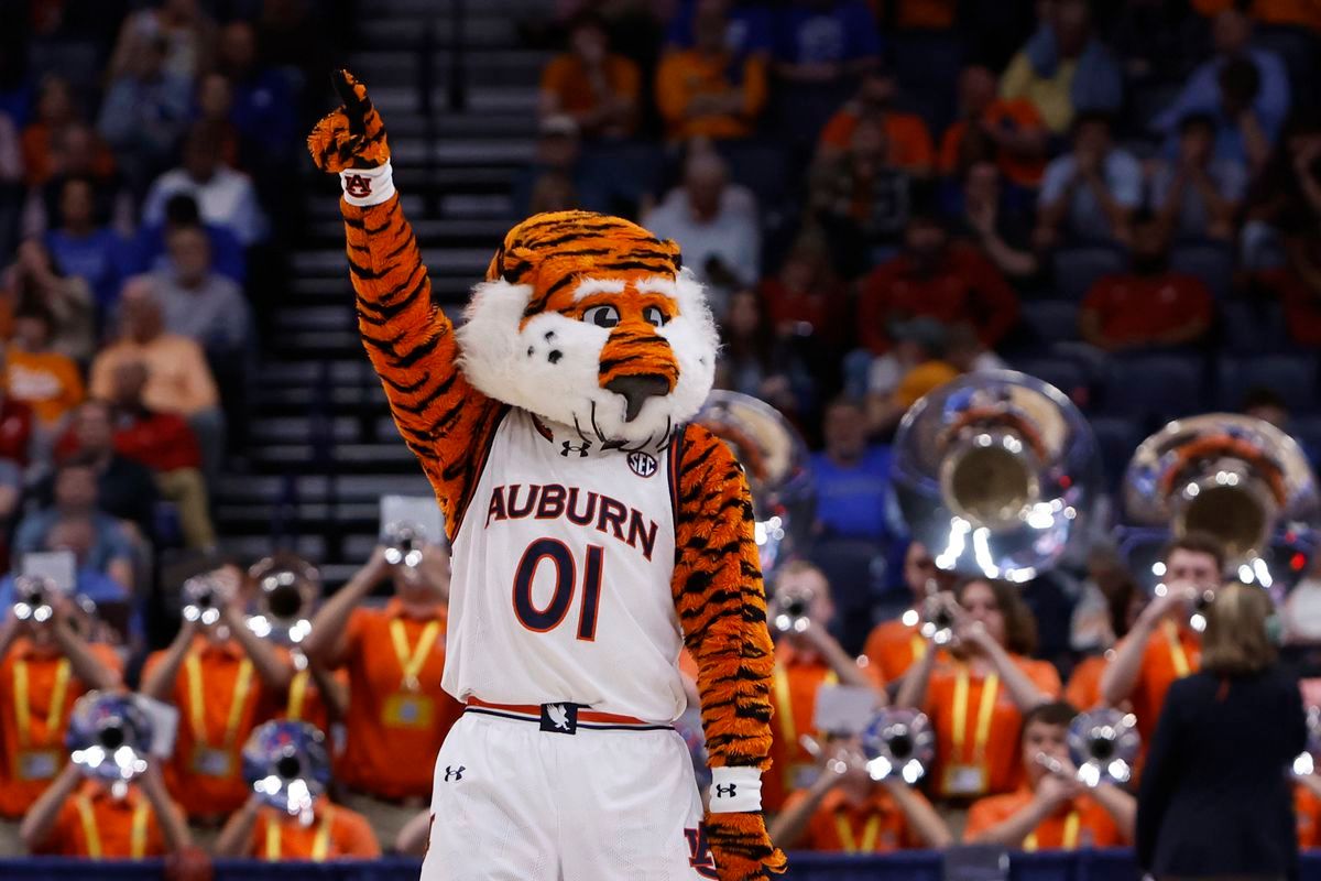 Auburn Tigers at LSU Tigers Womens Volleyball at LSU Pete Maravich Assembly Center, 14 November | AllEvents