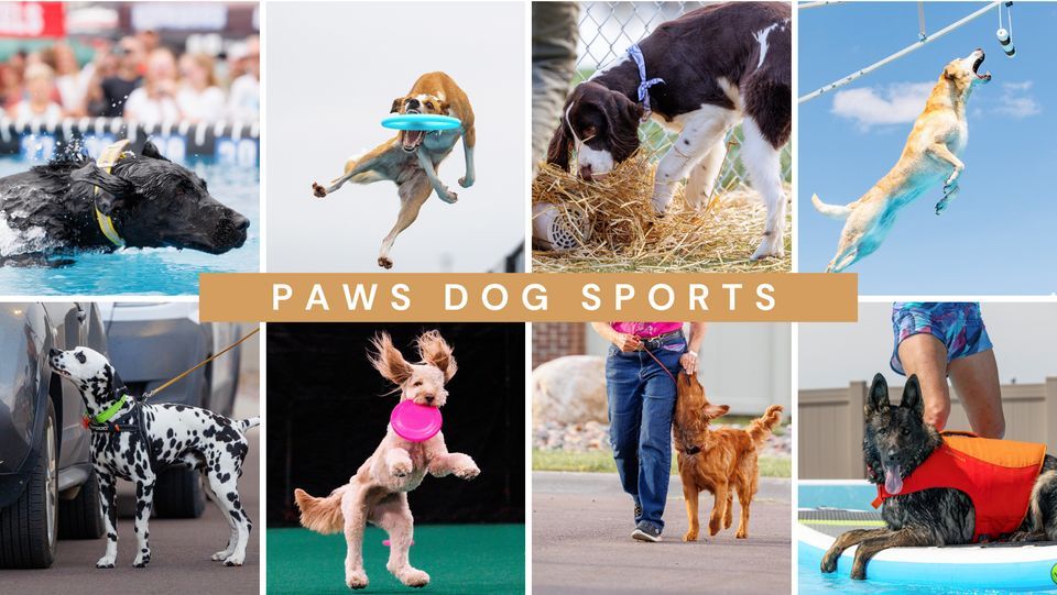 Open Jump, 7121 S Cliff Ave, Sioux Falls, SD, Harrisburg, 20 March 2024