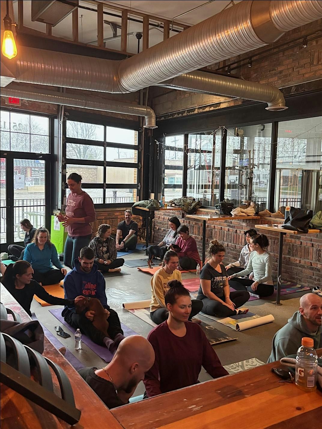 Puppy Yoga for Brandon, 14 December | Event in St. Clair Shores | AllEvents