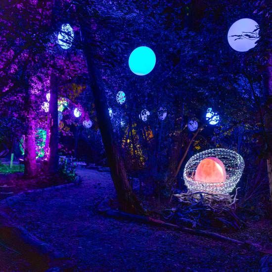 LUMA Enchanted: A Whimsical Sensory Night Walk | Event in Queenstown | AllEvents