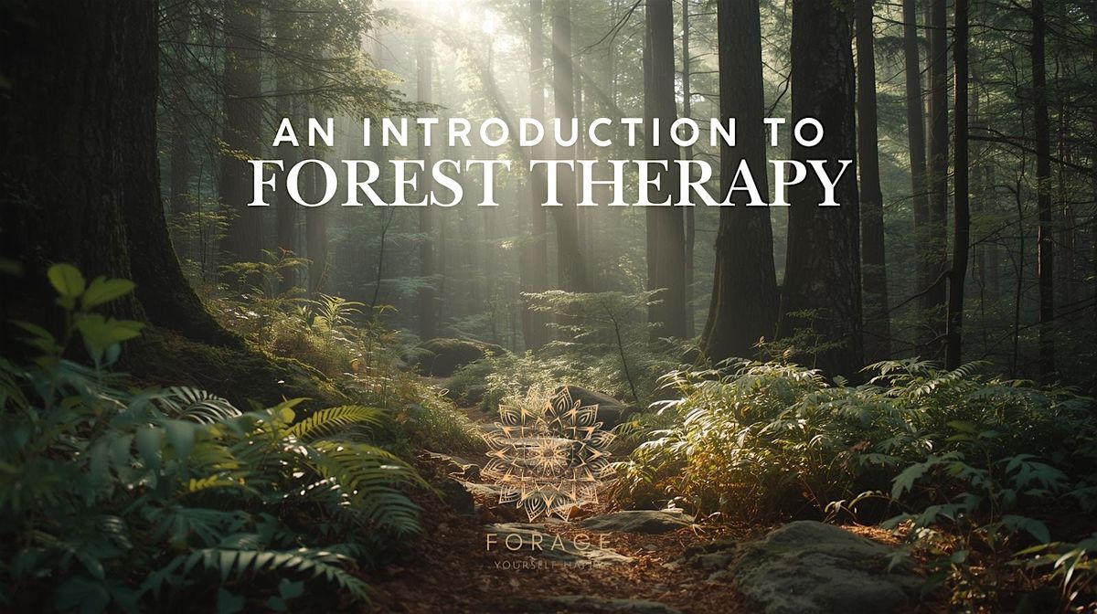 Intro to Sylvotherapy & Forest Therapy: A Beginner’s Workshop