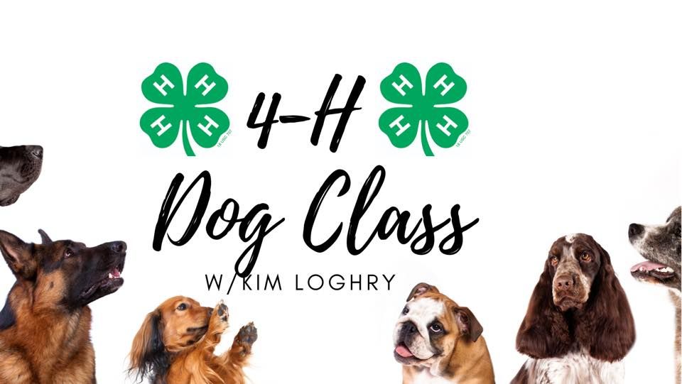 4-H Dog Class, White Pine County Fairgrounds, June 18 2022 ...