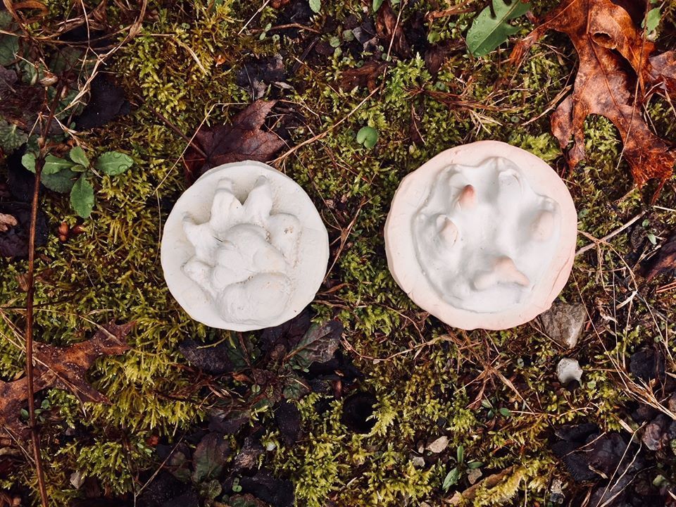 Make Your Own Animal Tracks, 4605 Pickett Park Highway Jamestown, TN