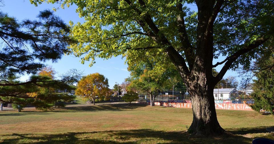 Building Trades Park Master Plan Public Information Meeting, City Hall