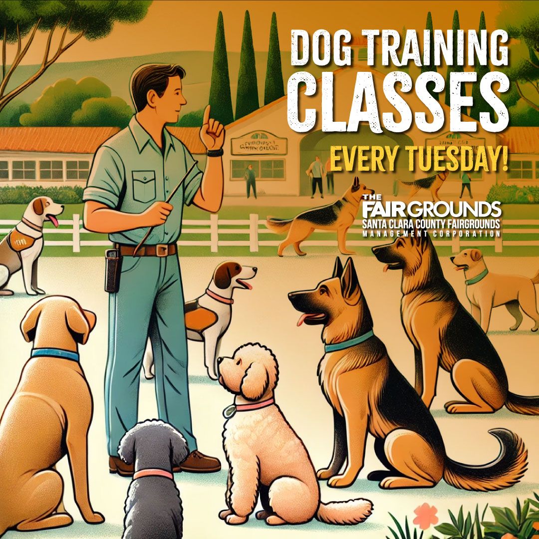 Orange Dog Club, 19 June | Event in Rochester | AllEvents