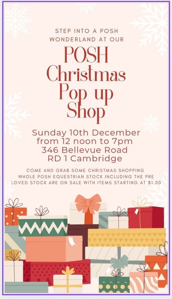 POSH Pop Up Christmas Shop, 346 Bellevue Rd, Pukemoremore, Matangi 3493