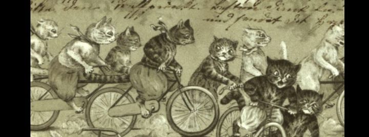 Abk 2019 Kitchen Kat Ride At Adelaide South Australia Adelaide