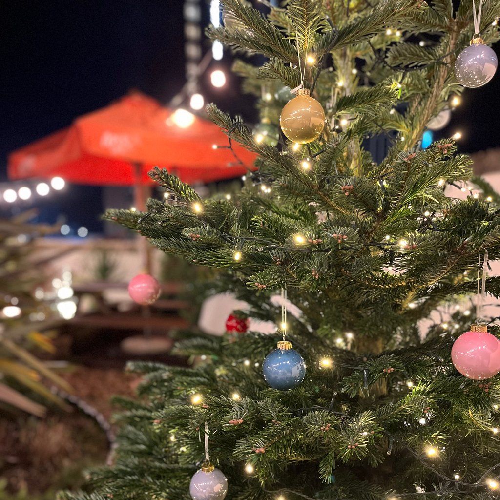 Rooftop coffee shop serving mulled wine and mince pies!, 6 December | Event in Cardiff | AllEvents