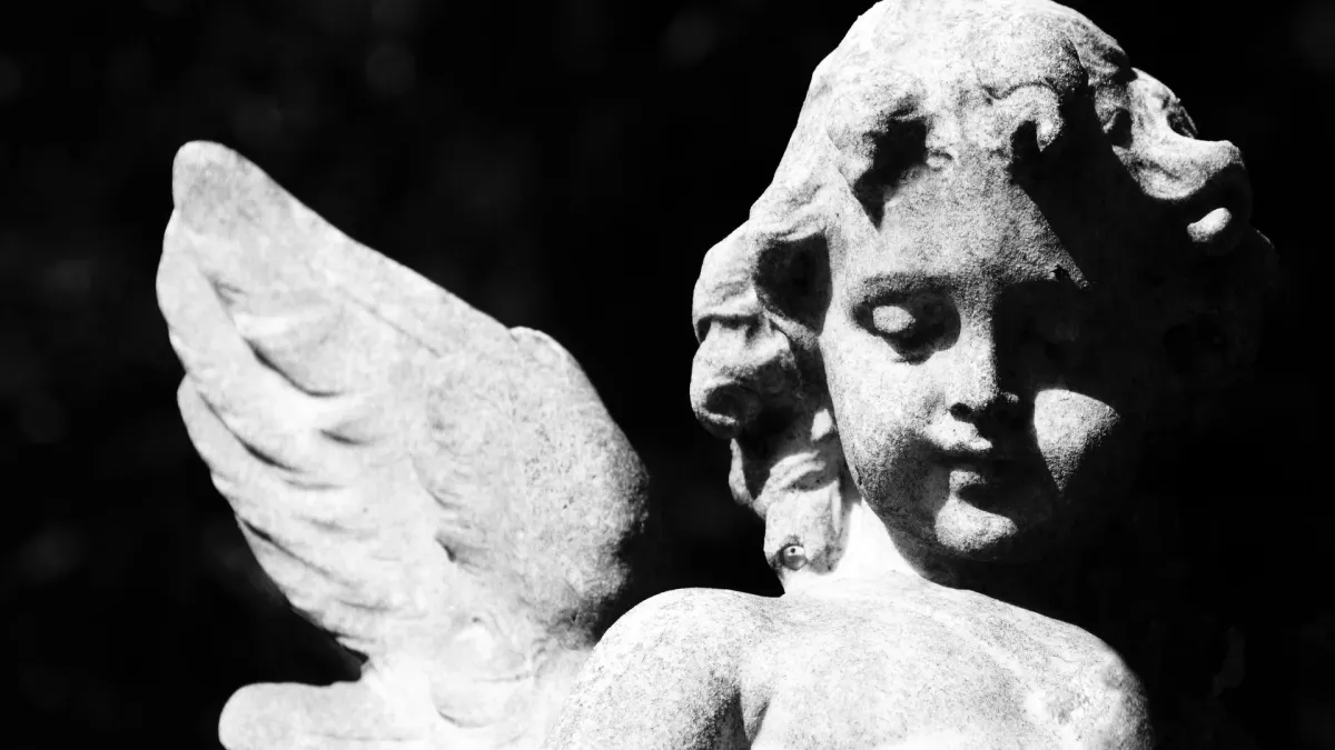 Cold Cave, Buzz Kull in San Diego, 20 February | Event in San Diego | AllEvents