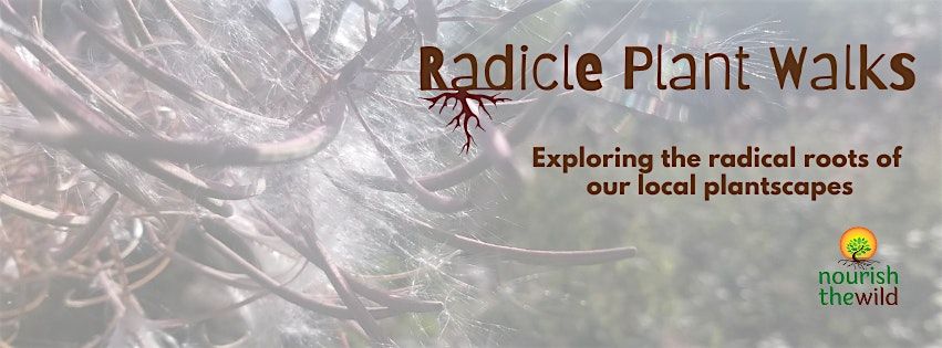 Radicle Plant Walks London - Highbury Fields and surrounds, 30 November | Event in London | AllEvents