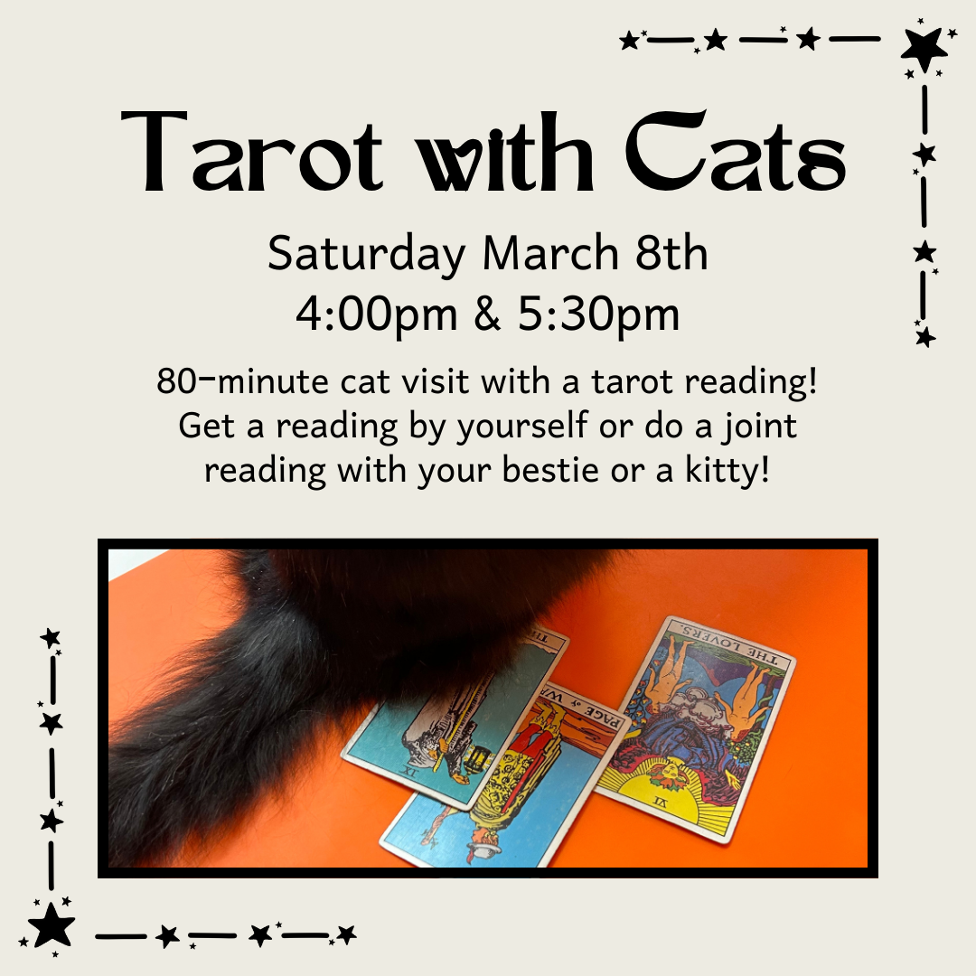 Cats at Casa Manana | Event in Fort Worth | AllEvents
