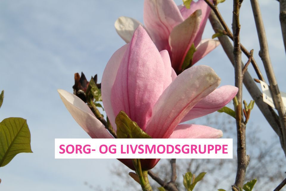 Sorg Og Livsmodsgruppe Kirkebakken 8 8620 Kjellerup Danmark Sunds sorg-og-livsmodsgruppe-kirkebakken-8-8620-kjellerup-danmark-sunds