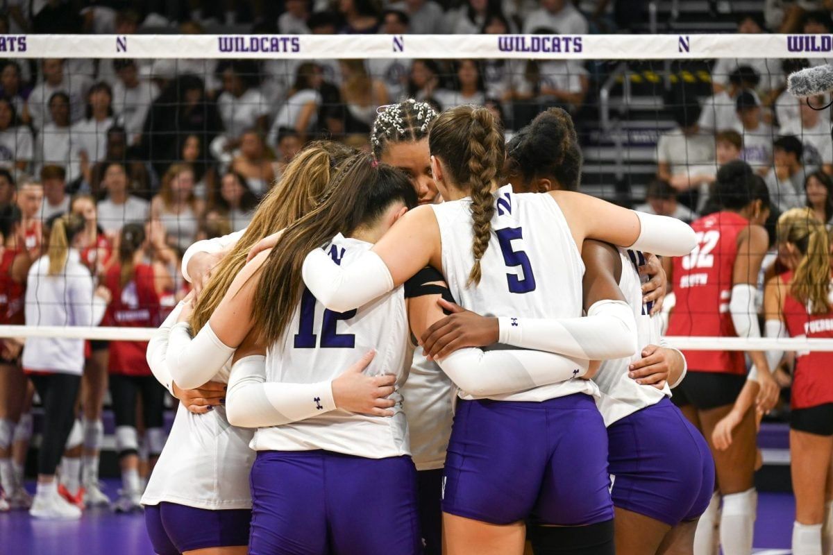 Purdue Boilermakers Women's Volleyball vs. Northwestern Wildcats, 22 November | Event in West Lafayette | AllEvents