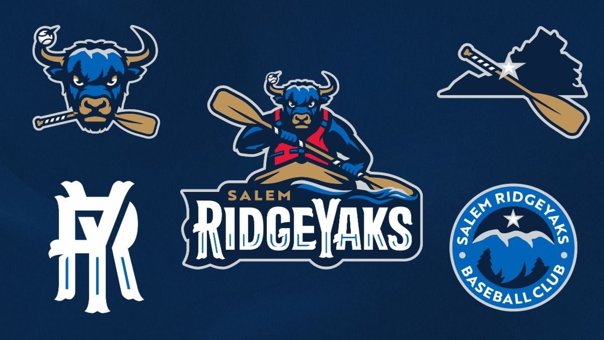 Salem RidgeYaks at Delmarva Shorebirds at Arthur W Perdue Stadium, 11 August | Event in Salisbury | AllEvents