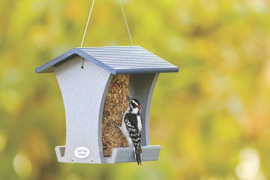 Clean & Simple Bird Feeding Preventing Critter Issues, Wild Birds