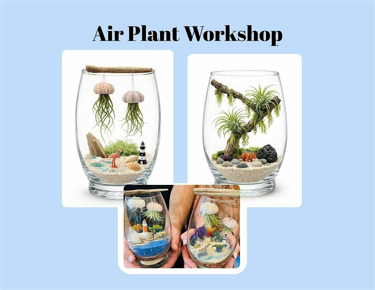Jellyfish or Jurassic Air Plant Workshop, The Winery at Wolf Creek,  Barberton, 25 June 2026 | AllEvents