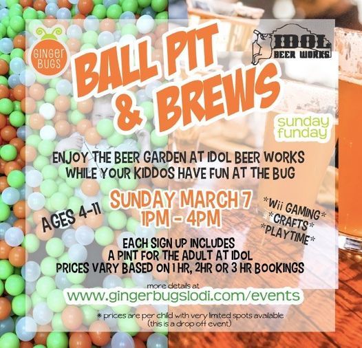 Ball Pit & Brews IDOL Beer Works & Play at the Bug, Ginger Bugs, Lodi