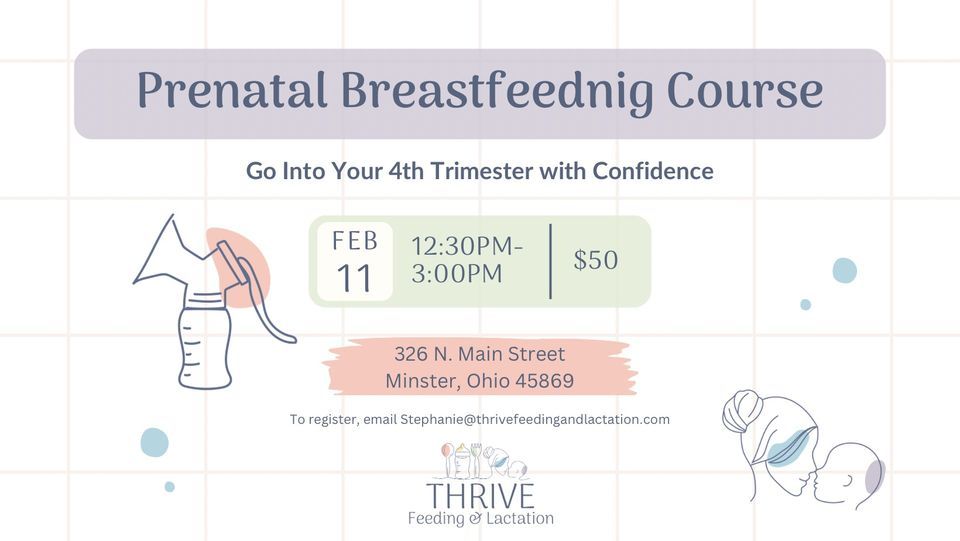 Prenatal Breastfeeding Course Go Into Your 4th Trimester with
