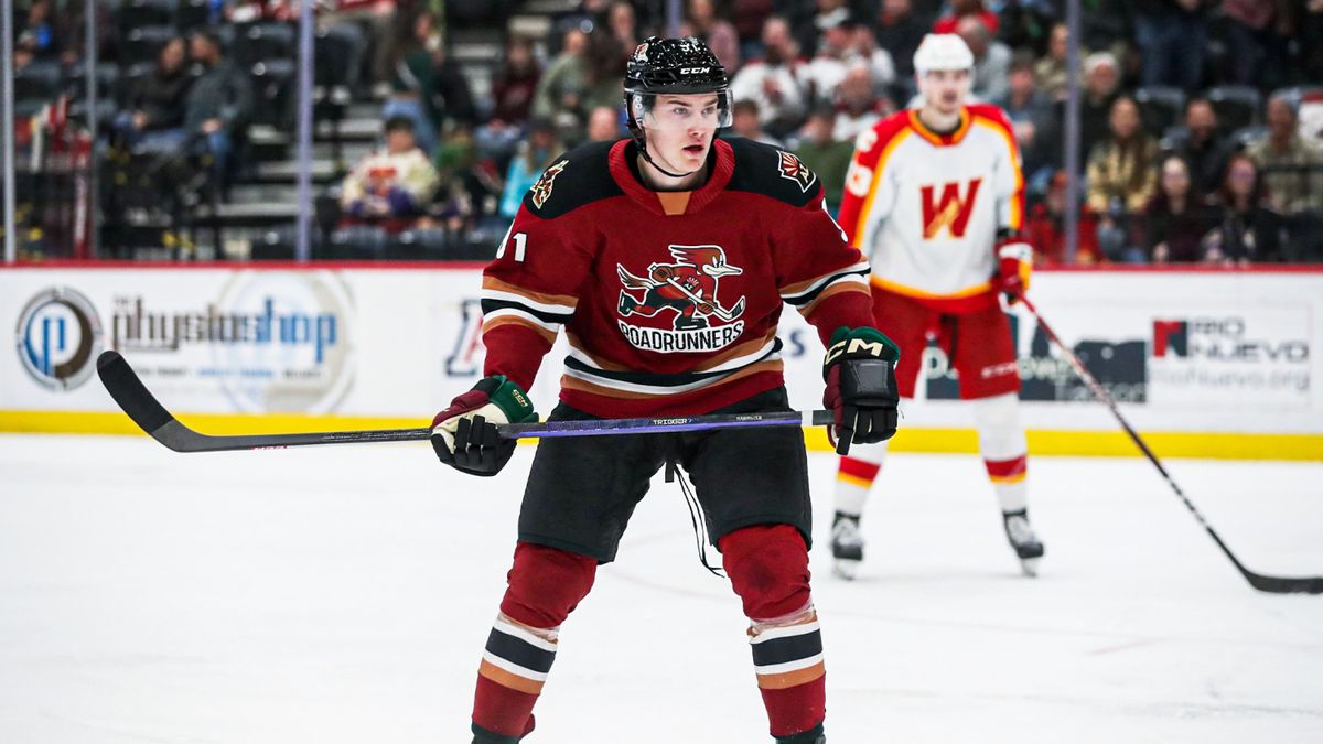 Tucson Roadrunners at Calgary Wranglers at Scotiabank Saddledome, 2 January | Event in Calgary | AllEvents