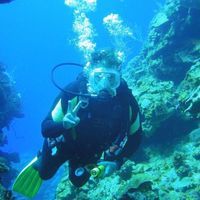 User profile photo