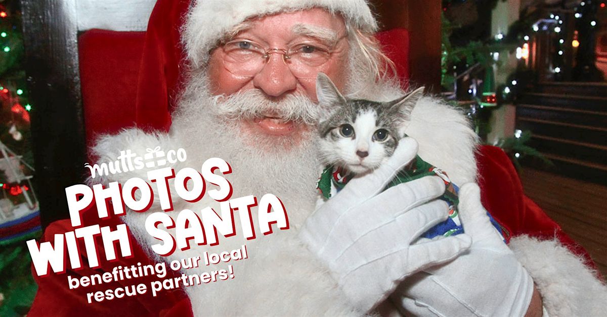 Photos with Santa benefitting Cozy Cat Cottage (Lewis Center), 13 December | Event in Lewis Center | AllEvents