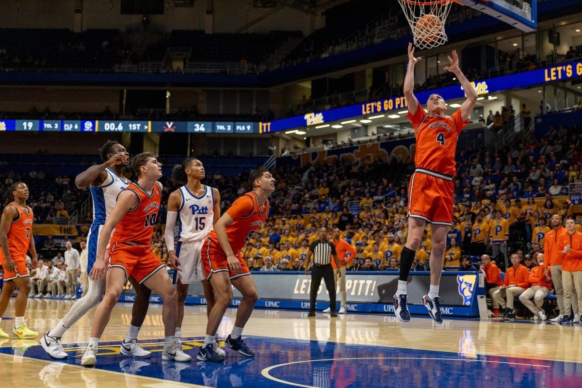 Pittsburgh Panthers Women's Volleyball vs. Virginia Cavaliers, 8 November | Event in Pittsburgh | AllEvents