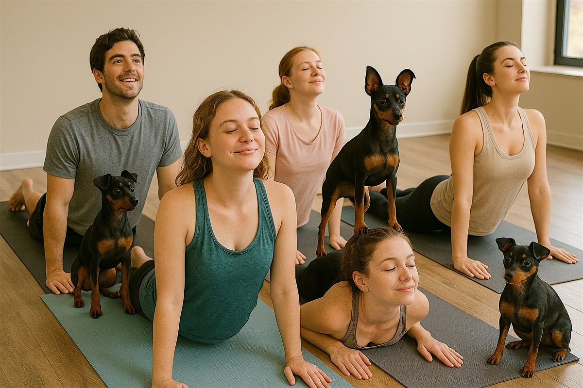 Puppy Yoga - December 14th with Leonbergers, 14 December | Event in Calgary | AllEvents