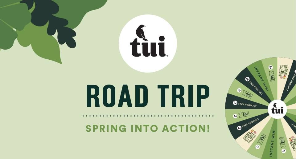 Tui Spring into Action Road Trip Mitre 10 MEGA Porirua, Mitre 10 MEGA