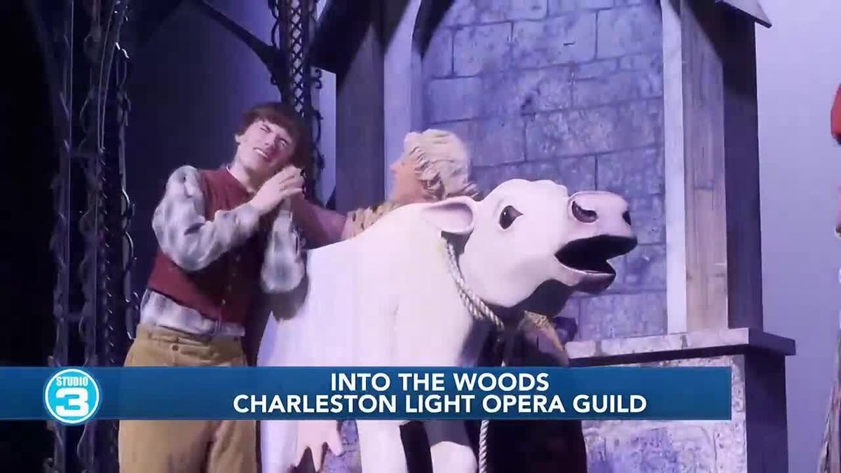 Into the Woods - Charleston | Event in Charleston | AllEvents