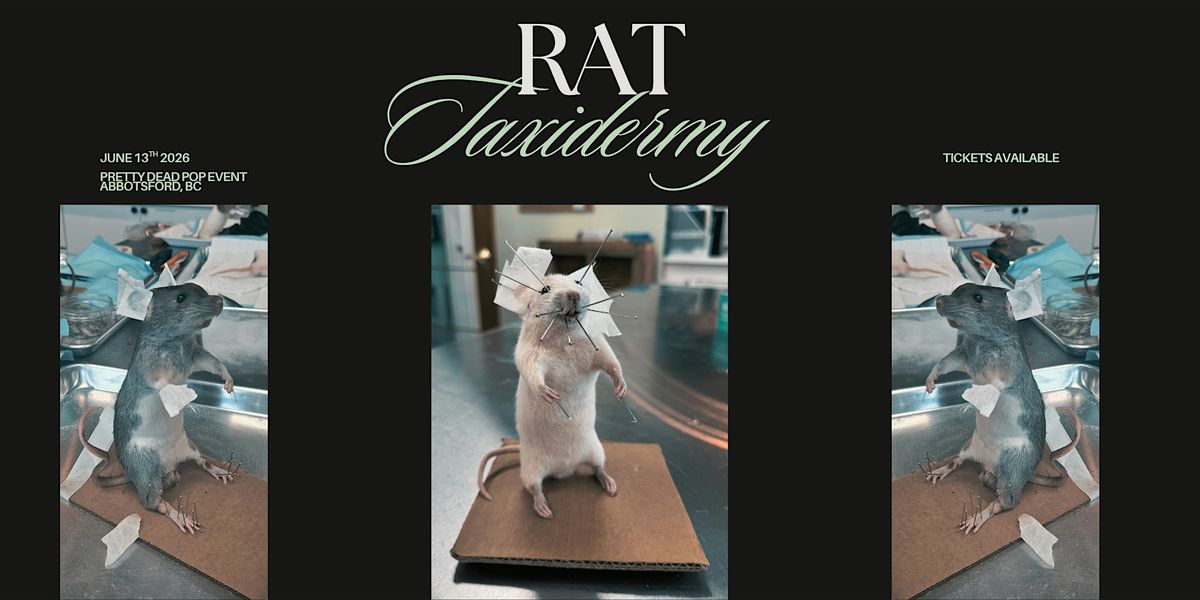 Rat Taxidermy Workshop - Abbotsford, BC