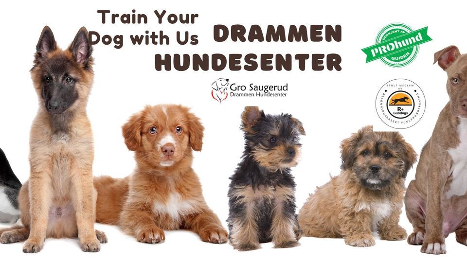 Videre Valp Del 1 Bedre Hver Dag Nedre Eikervei 65 3048 Drammen videre-valp-del-1-bedre-hver-dag-nedre-eikervei-65-3048-drammen