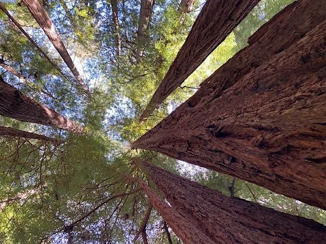 Personal Land Acknowledgement Workshop | Event in San Leandro | AllEvents