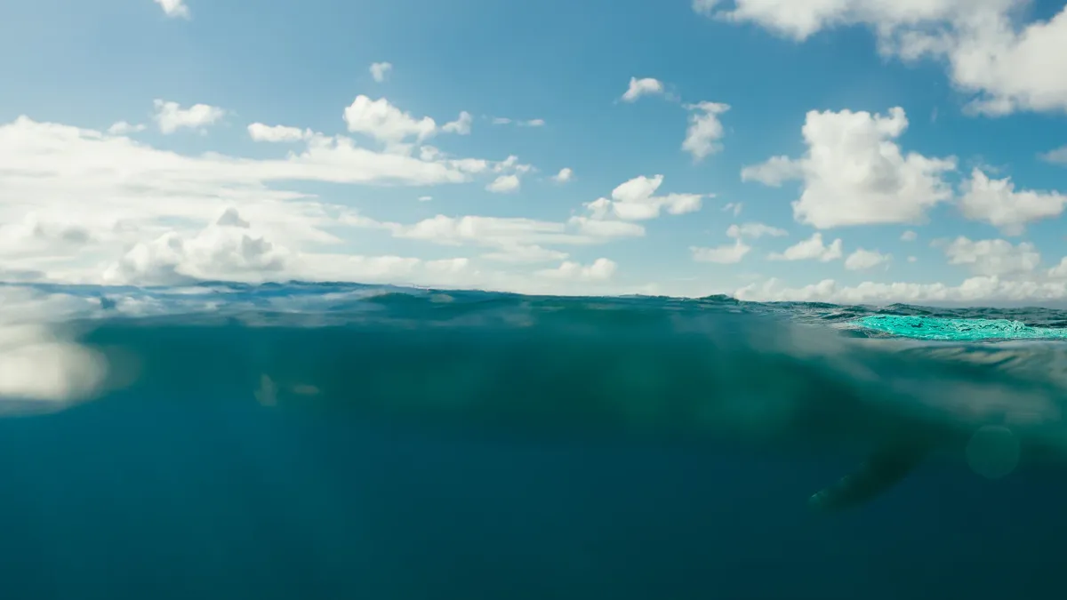 Jérémy Frerot in St Esteve, 9 May | Event in Perpignan | AllEvents