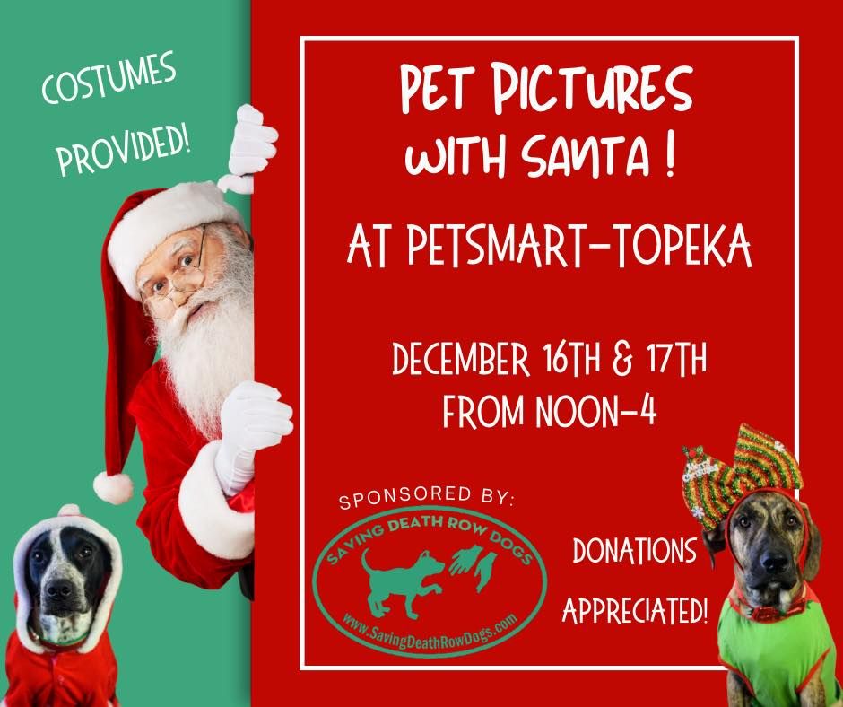 Pet Pictures With Santa At PetSmart, Sponsored by Saving Death Row Dogs