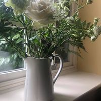 User profile photo